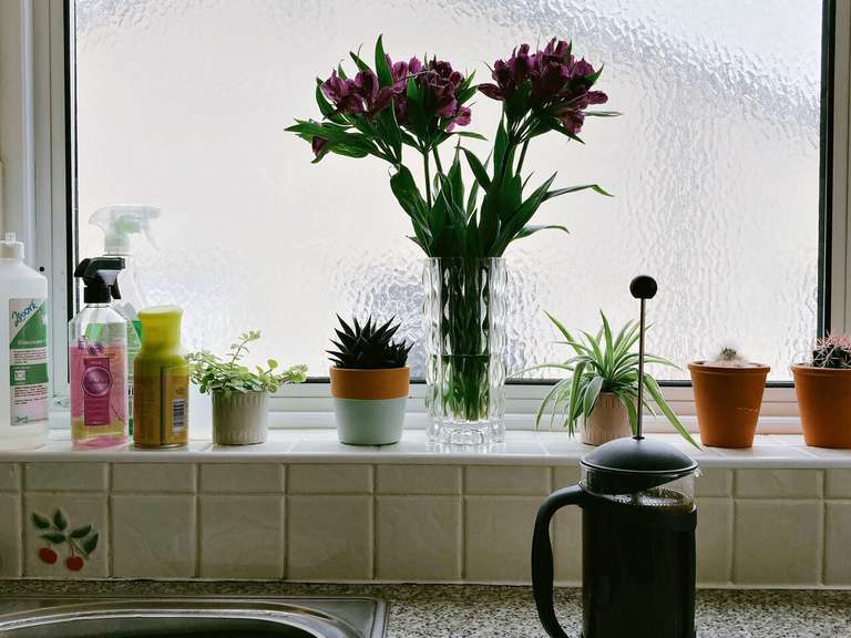 A bright kitchen window with flowers and plants along the sill, above a sink